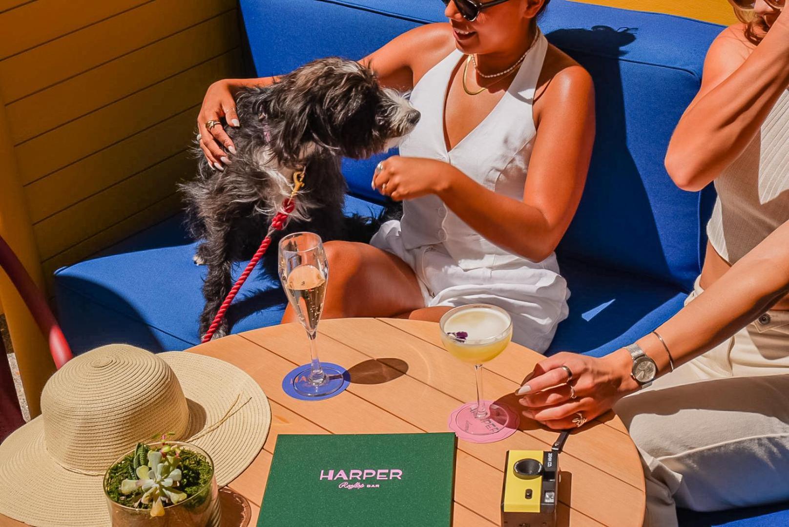 מלון Kimpton Margot Sydney By Ihg מראה חיצוני תמונה Harper's Magazine
